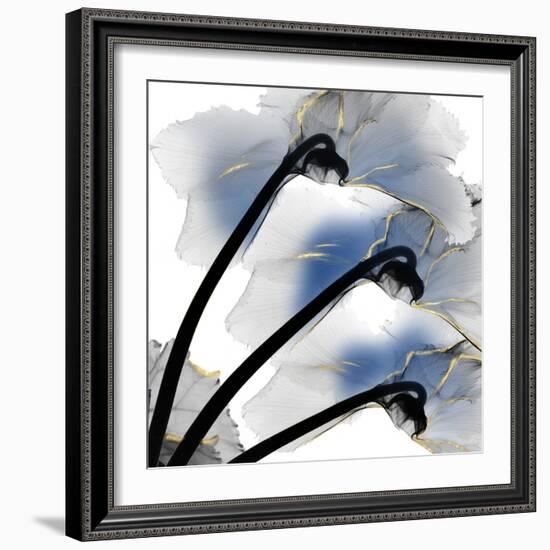 Indigo Luster Cyclamen-Albert Koetsier-Framed Photo