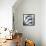 Indigo Luster Cyclamen-Albert Koetsier-Framed Stretched Canvas displayed on a wall