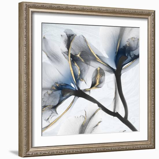 Indigo Luster Marble 2-Albert Koetsier-Framed Photographic Print