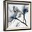 Indigo Luster Marble 2-Albert Koetsier-Framed Photographic Print