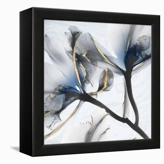 Indigo Luster Marble 2-Albert Koetsier-Framed Stretched Canvas