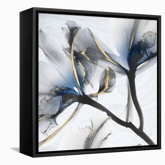 Indigo Luster Marble 2-Albert Koetsier-Framed Stretched Canvas