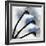 Indigo Luster Marble-Albert Koetsier-Framed Photographic Print