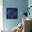 Indigo Mandala 3-Kimberly Allen-Mounted Premium Giclee Print displayed on a wall