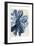 Indigo Marble Bloom 1-Kimberly Allen-Framed Art Print