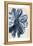 Indigo Marble Bloom 1-Kimberly Allen-Framed Stretched Canvas