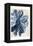 Indigo Marble Bloom 1-Kimberly Allen-Framed Stretched Canvas