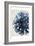 Indigo Marble Bloom 2-Kimberly Allen-Framed Art Print