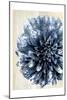 Indigo Marble Bloom 2-Kimberly Allen-Mounted Art Print