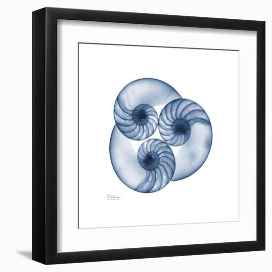 Indigo Nautilus Trio-Albert Koetsier-Framed Art Print