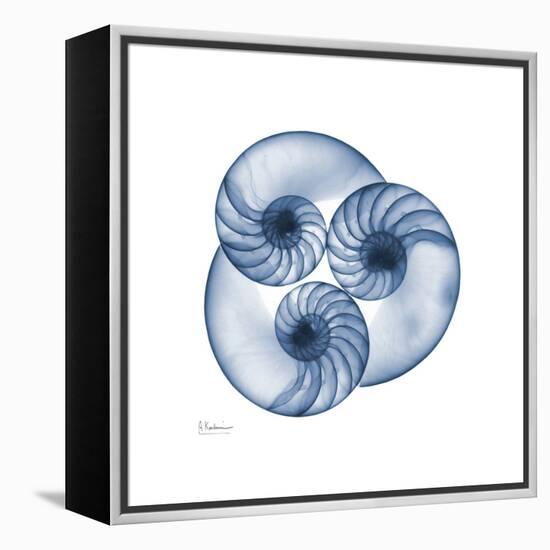 Indigo Nautilus Trio-Albert Koetsier-Framed Stretched Canvas