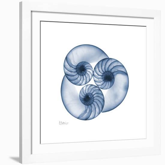 Indigo Nautilus Trio-Albert Koetsier-Framed Art Print