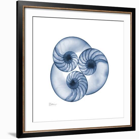 Indigo Nautilus Trio-Albert Koetsier-Framed Art Print