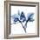 Indigo Orchid-Albert Koetsier-Framed Art Print