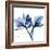 Indigo Orchid-Albert Koetsier-Framed Art Print