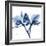 Indigo Orchid-Albert Koetsier-Framed Art Print