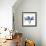 Indigo Orchid-Albert Koetsier-Framed Art Print displayed on a wall