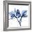 Indigo Orchid-Albert Koetsier-Framed Premium Giclee Print