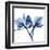 Indigo Orchid-Albert Koetsier-Framed Art Print