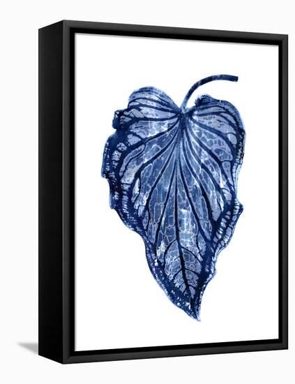 Indigo Palm III-Melonie Miller-Framed Stretched Canvas