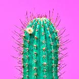 Cactus - Neon Pink Minimal Stillife-Indigo Photo Club-Mounted Photographic Print