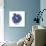 Indigo Pomegranate-Aimee Wilson-Art Print displayed on a wall