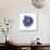 Indigo Pomegranate-Aimee Wilson-Art Print displayed on a wall