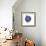 Indigo Pomegranate-Aimee Wilson-Framed Premium Giclee Print displayed on a wall