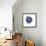 Indigo Pomegranate-Aimee Wilson-Framed Premium Giclee Print displayed on a wall