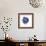 Indigo Pomegranate-Aimee Wilson-Framed Premium Giclee Print displayed on a wall