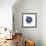 Indigo Pomegranate-Aimee Wilson-Framed Premium Giclee Print displayed on a wall