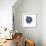 Indigo Pomegranate-Aimee Wilson-Framed Premium Giclee Print displayed on a wall