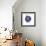 Indigo Pomegranate-Aimee Wilson-Framed Premium Giclee Print displayed on a wall