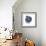 Indigo Pomegranate-Aimee Wilson-Framed Art Print displayed on a wall