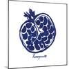 Indigo Pomegranate-Aimee Wilson-Mounted Art Print