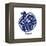 Indigo Pomegranate-Aimee Wilson-Framed Stretched Canvas