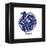 Indigo Pomegranate-Aimee Wilson-Framed Stretched Canvas