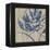 Indigo Poppy-Chariklia Zarris-Framed Stretched Canvas