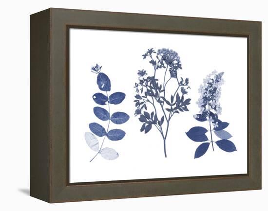 Indigo Pressed Florals I-Studio W-Framed Stretched Canvas