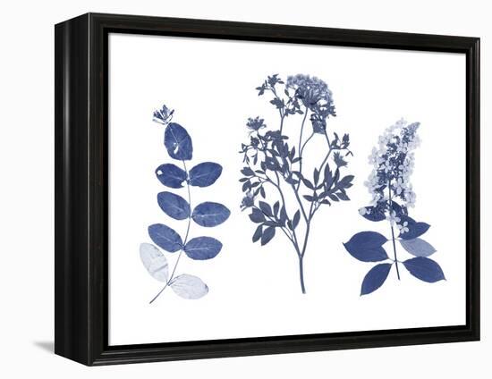 Indigo Pressed Florals I-Studio W-Framed Stretched Canvas