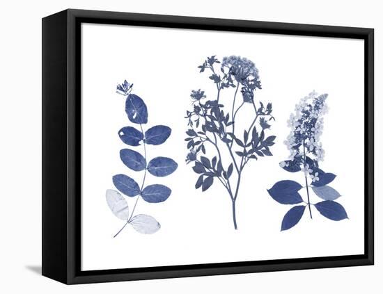 Indigo Pressed Florals I-Studio W-Framed Stretched Canvas