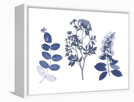 Indigo Pressed Florals I-Studio W-Framed Stretched Canvas