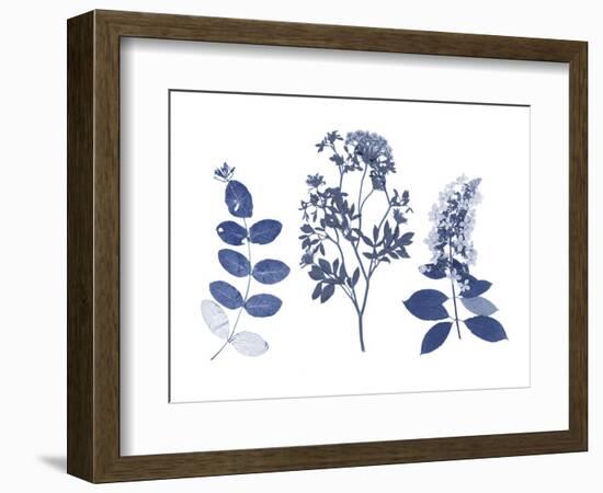 Indigo Pressed Florals I-Studio W-Framed Art Print