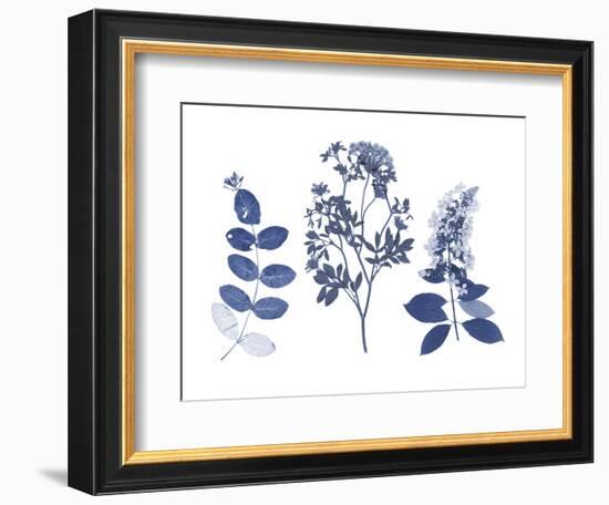 Indigo Pressed Florals I-Studio W-Framed Art Print