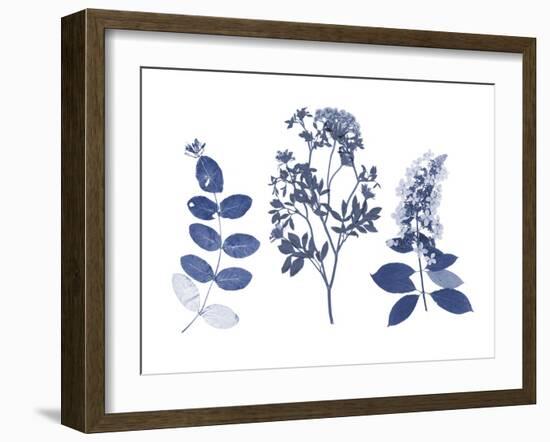 Indigo Pressed Florals I-Studio W-Framed Art Print