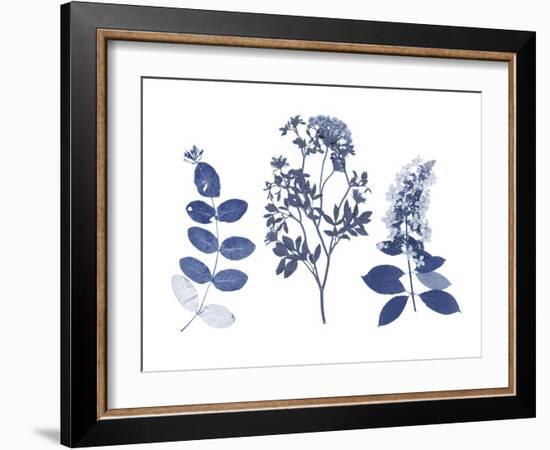 Indigo Pressed Florals I-Studio W-Framed Art Print