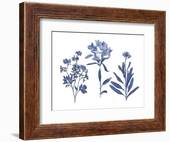 Indigo Pressed Florals II-Studio W-Framed Art Print