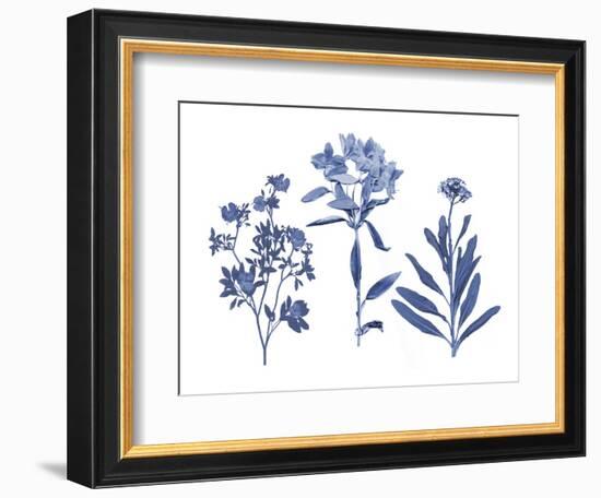 Indigo Pressed Florals II-Studio W-Framed Art Print