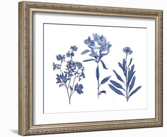 Indigo Pressed Florals II-Studio W-Framed Art Print