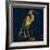 Indigo Pride-Sheldon Lewis-Framed Art Print